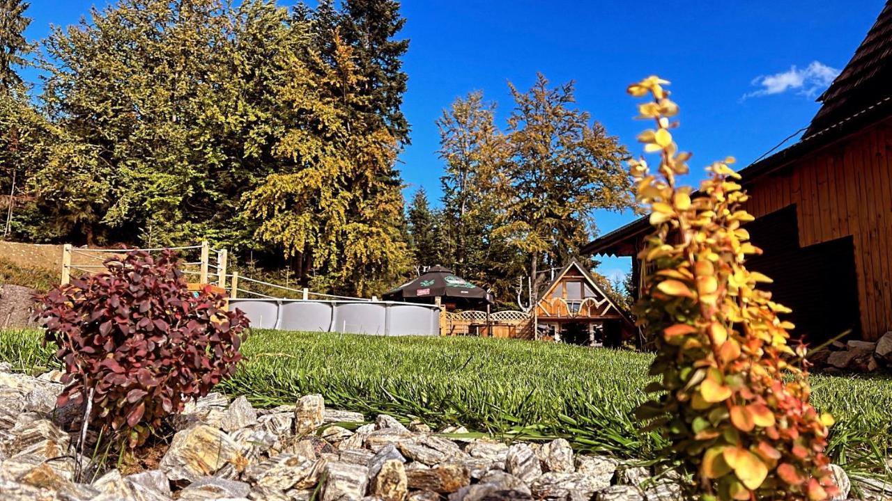 Domek W Gorach- Bacowka U Dudka Nowy Targ Exteriér fotografie
