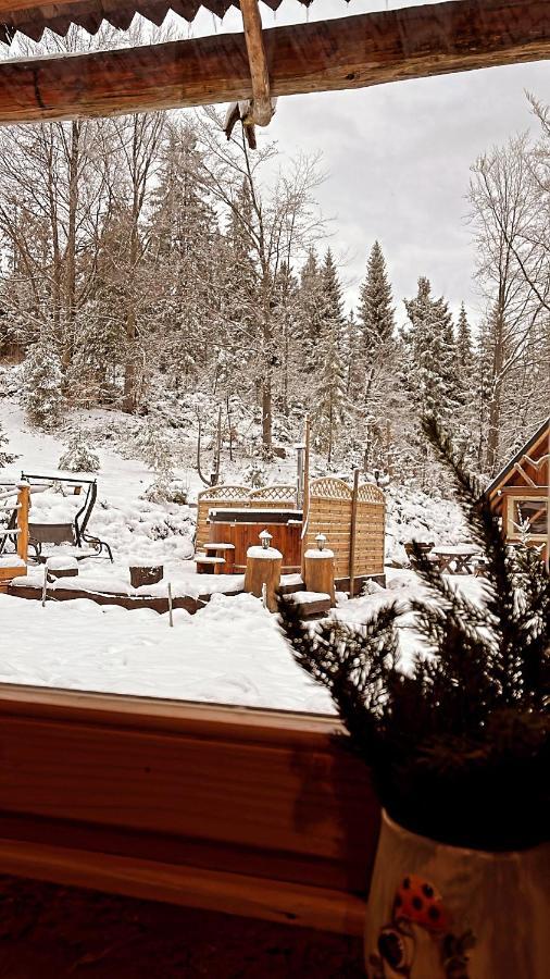 Domek W Gorach- Bacowka U Dudka Nowy Targ Exteriér fotografie