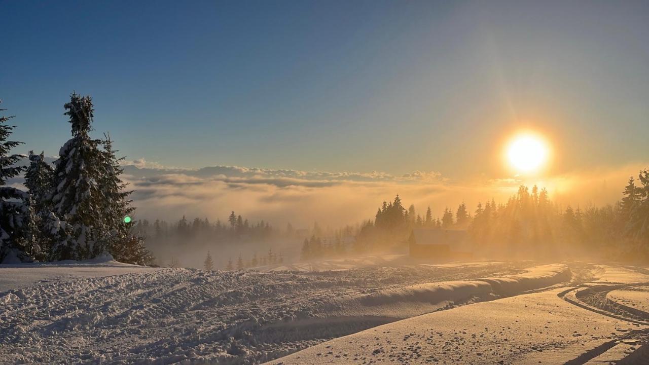 Domek W Gorach- Bacowka U Dudka Nowy Targ Exteriér fotografie