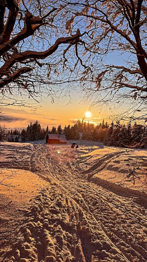 Domek W Gorach- Bacowka U Dudka Nowy Targ Exteriér fotografie